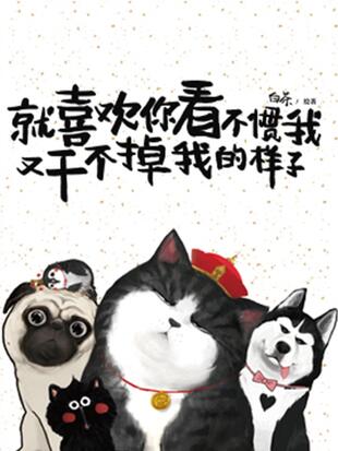 吾皇巴扎黑壁纸图片