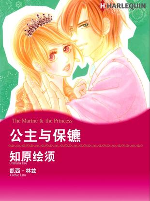 公主和他的保安什么意思