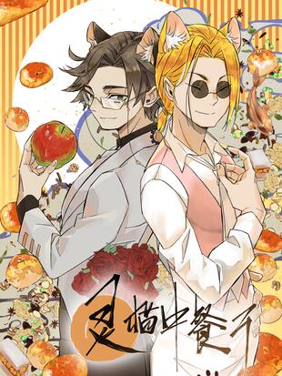 灵猫创意科技有限公司